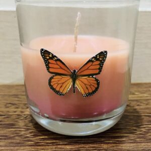 Butter fly Glass Candle